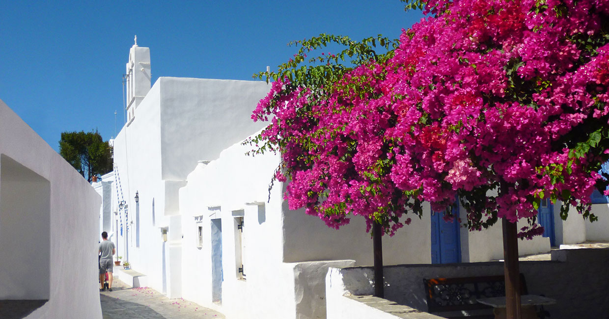 Πλακόστρωτο σοκάκι στον Αρτεμώνα Σίφνου